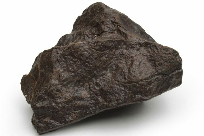 Chondrite Meteorite ( g) - Western Sahara Desert #226983